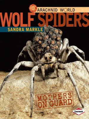 cover image of Wolf Spiders
